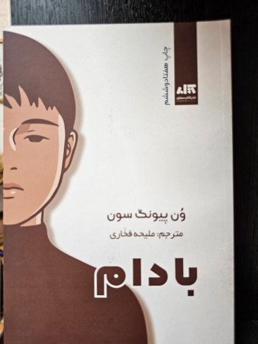 کتاب بادام نویسنده ون پیونگ سون