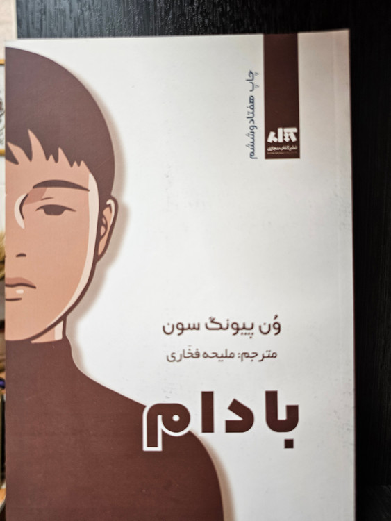 کتاب بادام نویسنده ون پیونگ سون