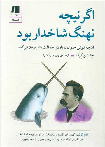 قیمت با تخفیف ۱۲ درصدی